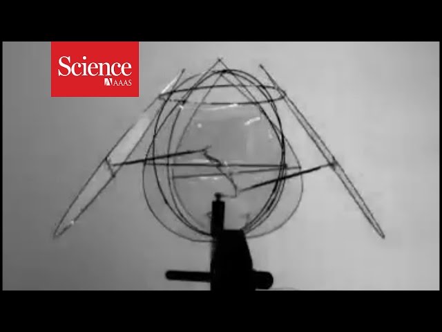 Flying robotic jellyfish
