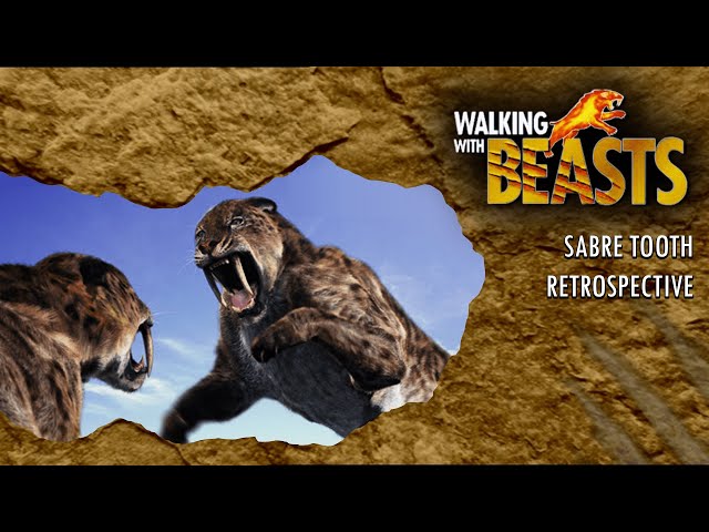 Walking With Beasts: Episode 5 - Sabre Tooth Retrospective