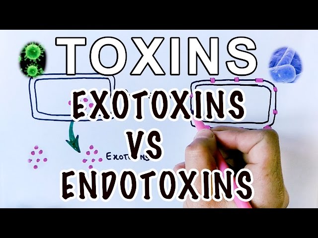 Overview of Toxins | Exotoxins Vs Endotoxins