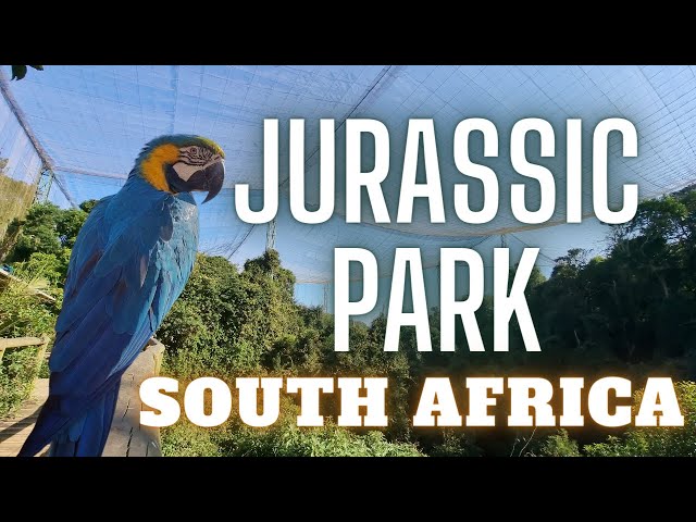 Complete walk through the largest aviary in the world: Birds of Eden in Plettenberg Bay