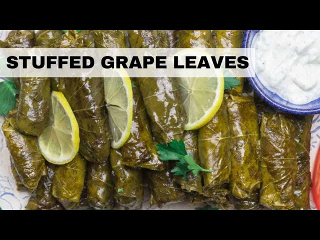 Dolmas Recipe | How To Make Stuffed Grape Leaves!