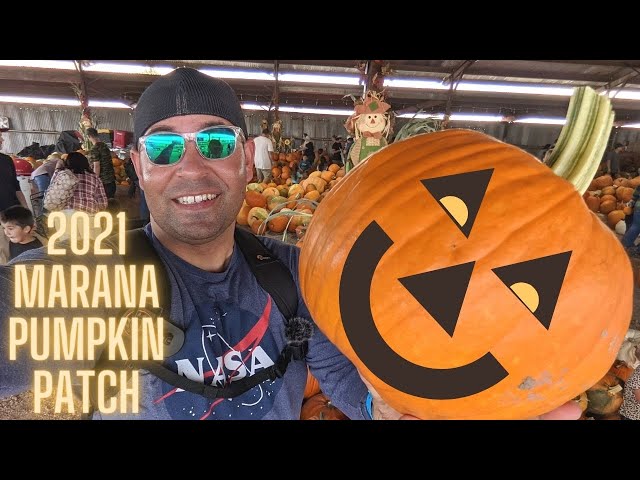 Marana Pumpkin Patch | Massive Crowds | New 2021 Location