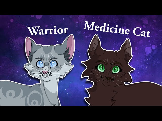 Remember when Jaypaw and Hollypaw switched jobs? | Warrior Cats