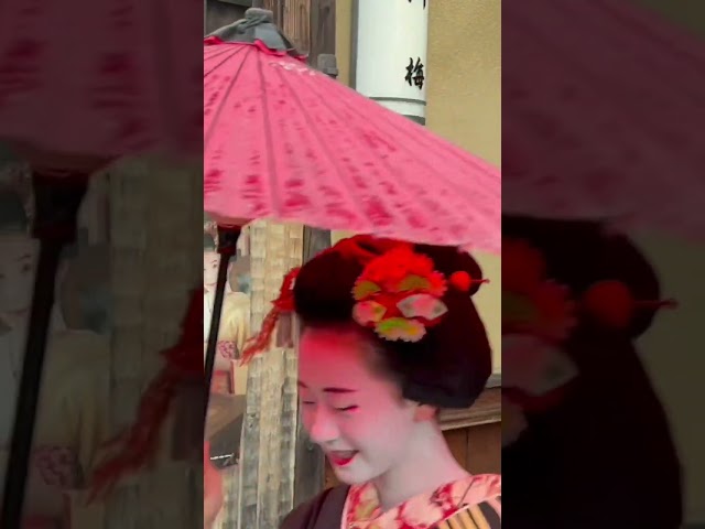 和傘の似合う可愛い祇園の舞妓さん #京都 #舞妓