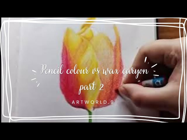pencil colour vs wax caryon part 2
