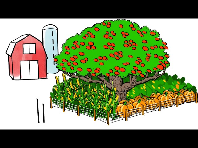 Feeding 9 Billion Video 11: Agriculture's Digital Revolution
