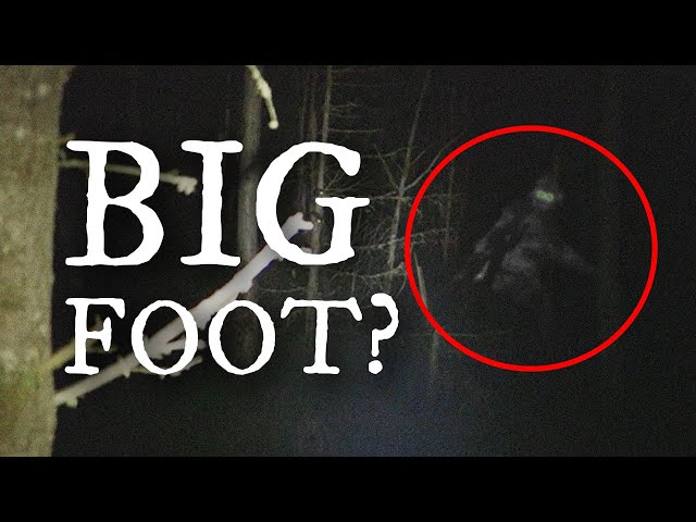 We Investigate The Hunt For Bigfoot • Out There