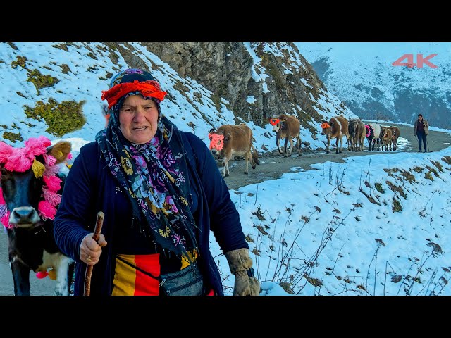 When the Migration Day Comes - Return to Zorlu Plateau | Documentary ▫️4K▫️