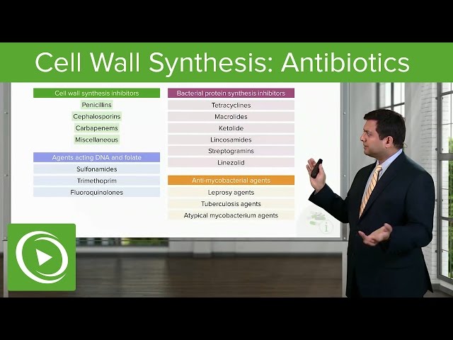 Cell Wall Synthesis Inhibitors: Antibiotics – Antimicrobial Pharmacology | Lecturio