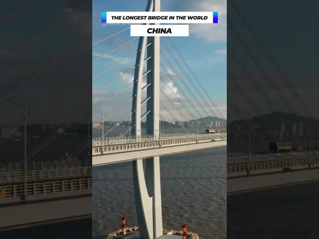 The Longest Bridge in the World #shorts