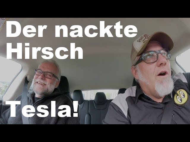 "Nackter Hirsch" Tesla ohne Extras in Holland gekauft. Kaufberatung.