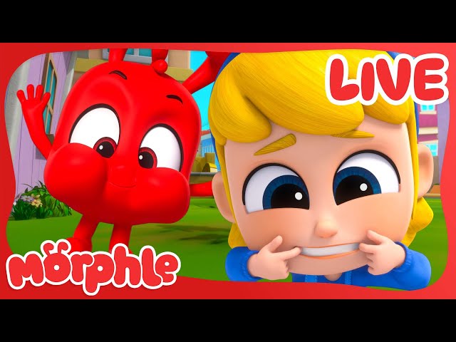 🔴 Morphle LIVE Marathon! | 24/7 Fun Cartoons and Kids Episodes | @Morphle
