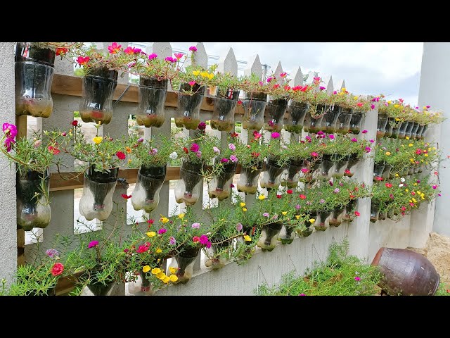 If You Have a Wall, You Can Have a Garden | Best Vertical Garden Ideas