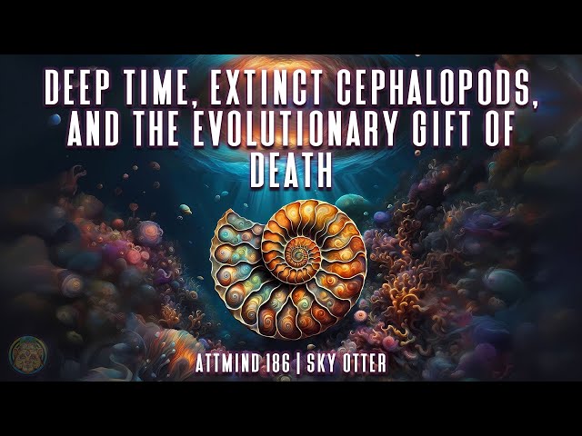 Deep Time, Extinct Cephalopods, and The Evolutionary Gift of Death | Sky Otter ~ ATTMind 186