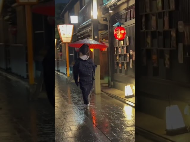 和傘が似合う美しい芸妓さん #京都 #芸者