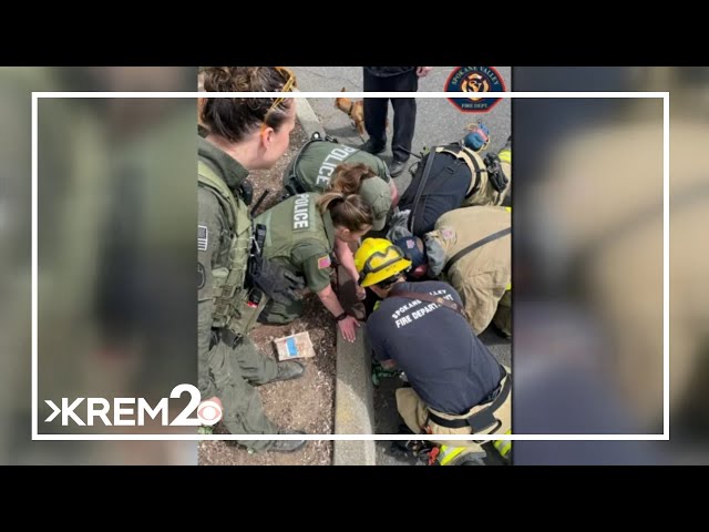 Spokane Valley Emergency Crews save dog that fell into stormdrain