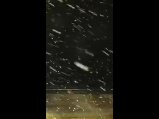 Snow in northern Oklahoma