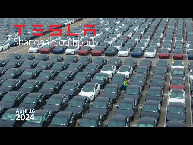 【Tesla】 Tesla in the Mist I Shanghai Southport I 4K I April 16