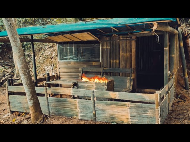 Membangun Perkemahan buscraft bambu||tangkap dan masak bakar ikan||Solo camping-buscraft