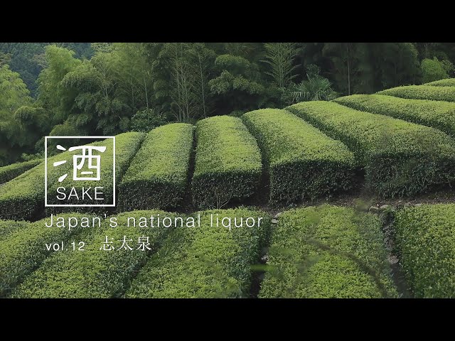 Sake  Japan's national liquor   vol 12 志太泉