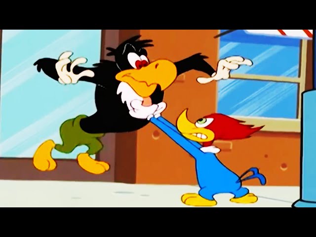 Super Woody | Woody Woodpecker Show | 1 Hour Compilation | Mini Moments