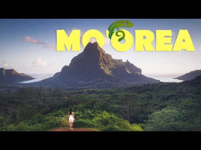 Mo'orea - Polynesia Travel Diary #1