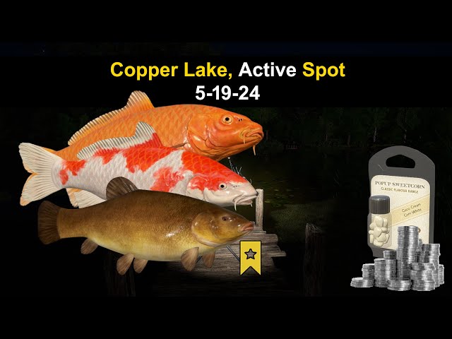 Russian Fishing 4, Copper Lake, Active Spot 5-19-24