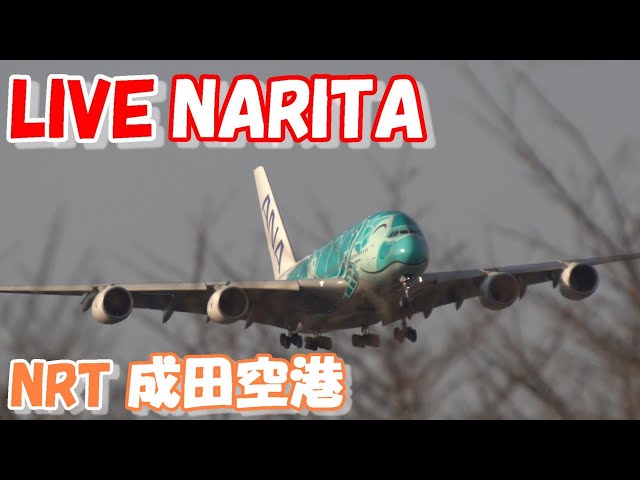 🔴LIVE at NARITA International Airport Plane Spotting　2024.05.24　成田空港ライブカメラ 成田空港　NRT/RJAA