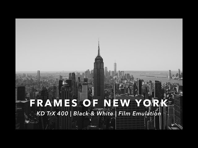 Frames of New York | Black & White Film Emulation | Blackmagic Cinema Camera 6K (Open Gate 3:2)