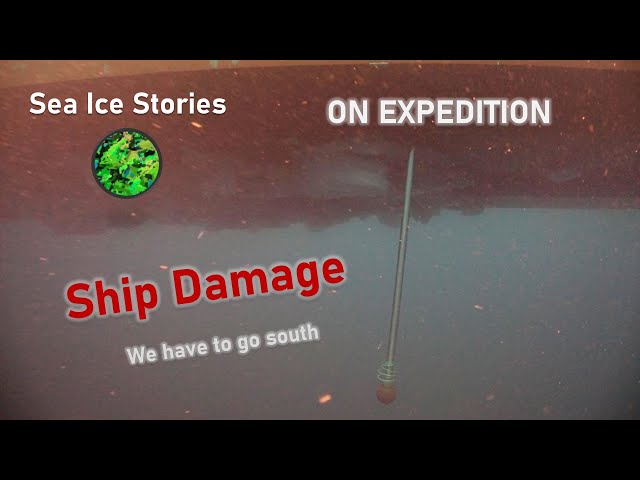 Ship damage: We need to go south!