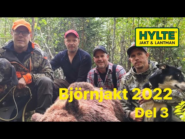Jakt - och eftersök på björn med Robin Strömqvist