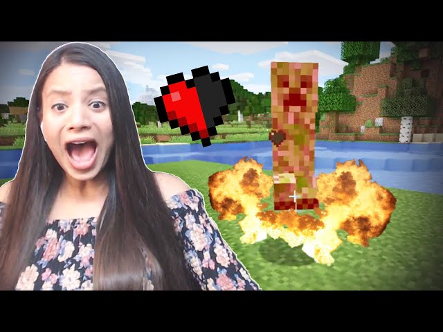 This Minecraft Video will TRIGGER YOU