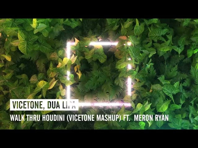 Vicetone, Dua Lipa - Walk Thru Houdini (Vicetone Mashup) ft. Meron Ryan (AEE Extended Version)