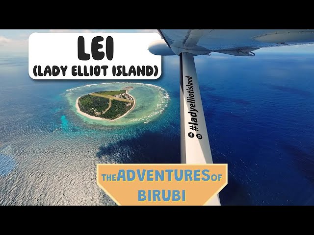 Lady Elliot Island - Sleeping on the Great Barrier Reef