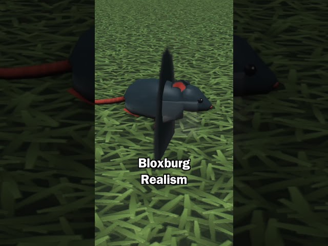 Ever Seen a Squished Mouse Before? #welcometobloxburg #bloxburg #roblox