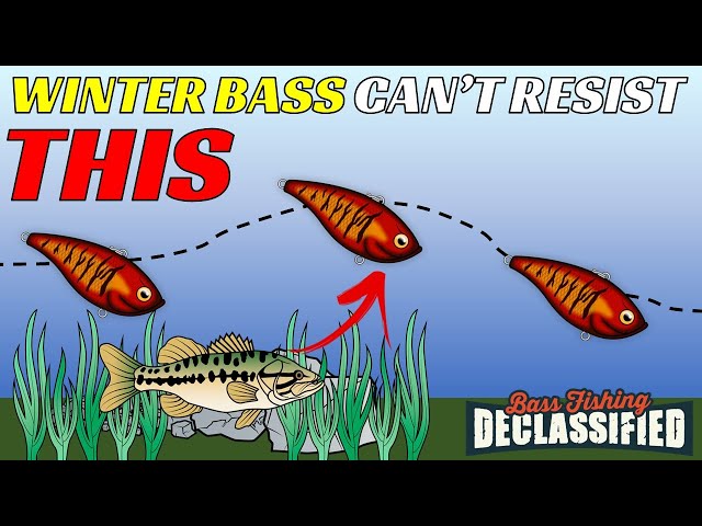 This Technique Works on EVERY LAKE for Winter Bass | Don’t Miss Out!