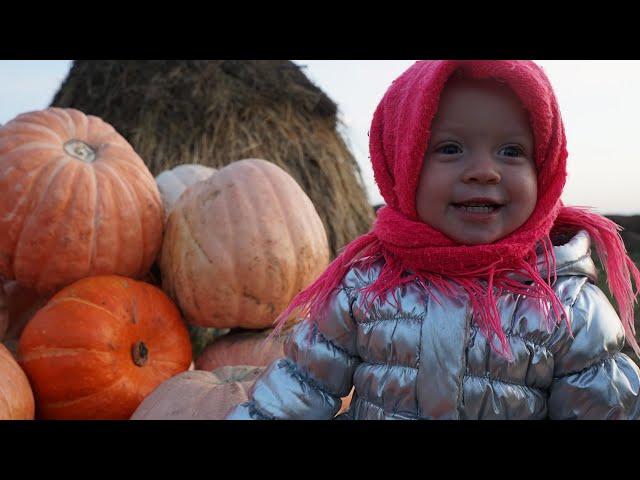 Zabava and Pumpkins. Childhood in the village. Russia. ASMR sounds. ENG SUBS