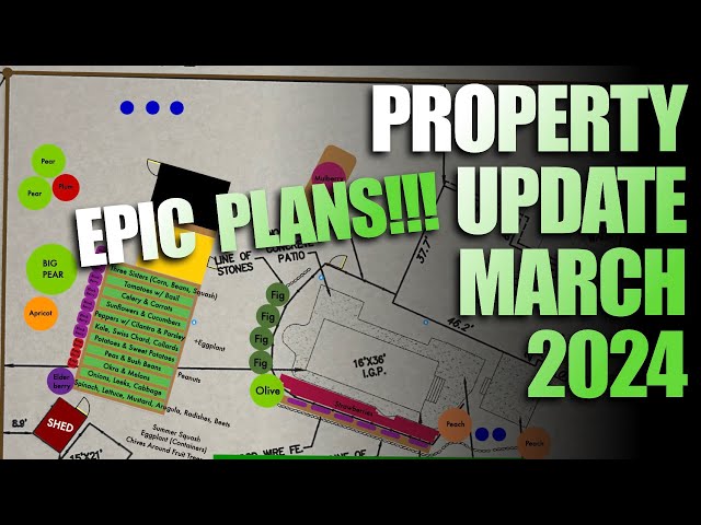 March 2024 Property Update & New Puppy With Donny Greens
