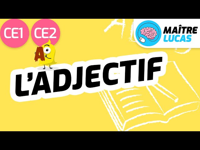 L'adjectif CE1 - CE2 - Cycle 2 - Approfondissement - Français - Etude la langue