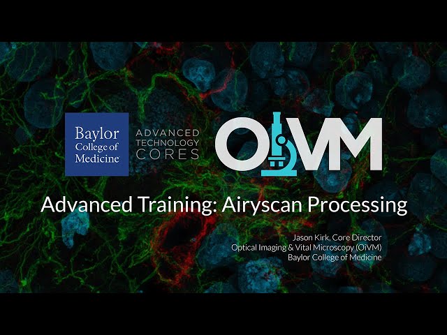 Training: Advanced Airyscan Processing