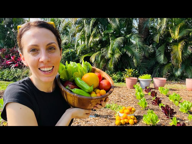 The Best Veggies for your March Florida Vegetable Garden!