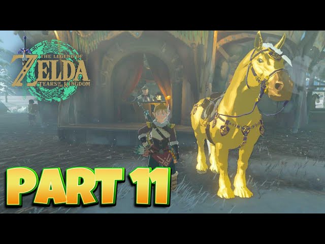 The Legend Of Zelda Tears Of The Kingdom - Full Playthrough Part 11