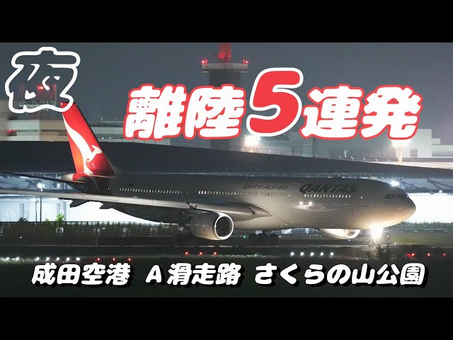 【4K】成田空港 さくらの山公園 夜の空港を離陸する飛行機５連発
