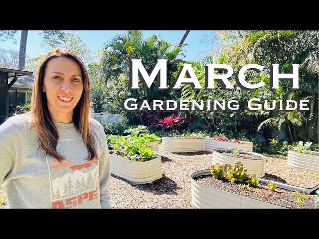 March Garden Guide: The Ultimate Guide to Florida Gardening
