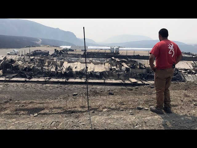 Farmer returns to B.C. dairy farm destroyed by wildfire