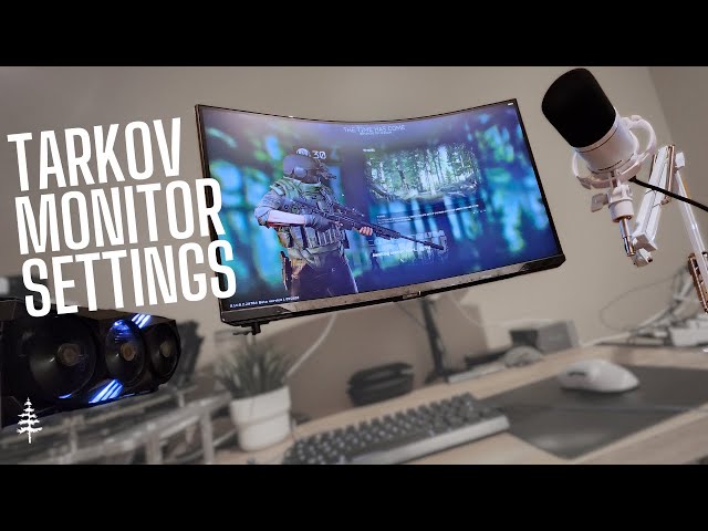 My Tarkov Monitor Settings
