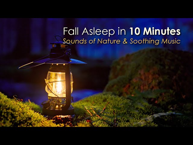 Fall Asleep in 10 Minutes 😴🌲 Oil Lamp & Enchanting Forest Ambience