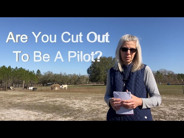 Reasons You Should NOT Become A Pilot