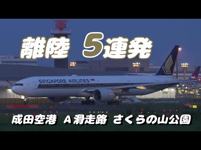 【4K】成田空港 さくらの山公園 夕暮れ時に離陸する飛行機５連発