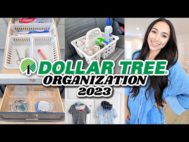 DOLLAR TREE ORGANIZATION 2023! EXTREME HOME ORGANIZATION TIPS & HACKS! | Alexandra Beuter